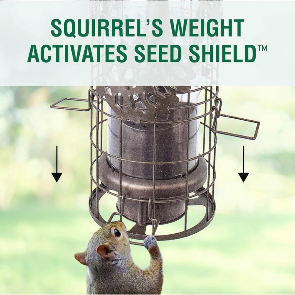 Perky Pet Bird Feeder - Picture 3 of 7